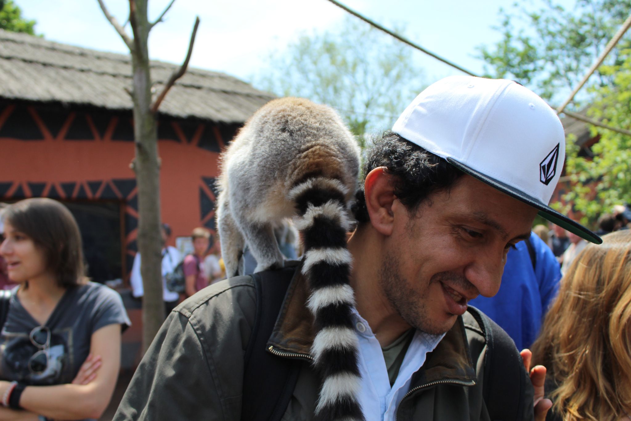 74ac313e327355a2b582e943a3e3a529