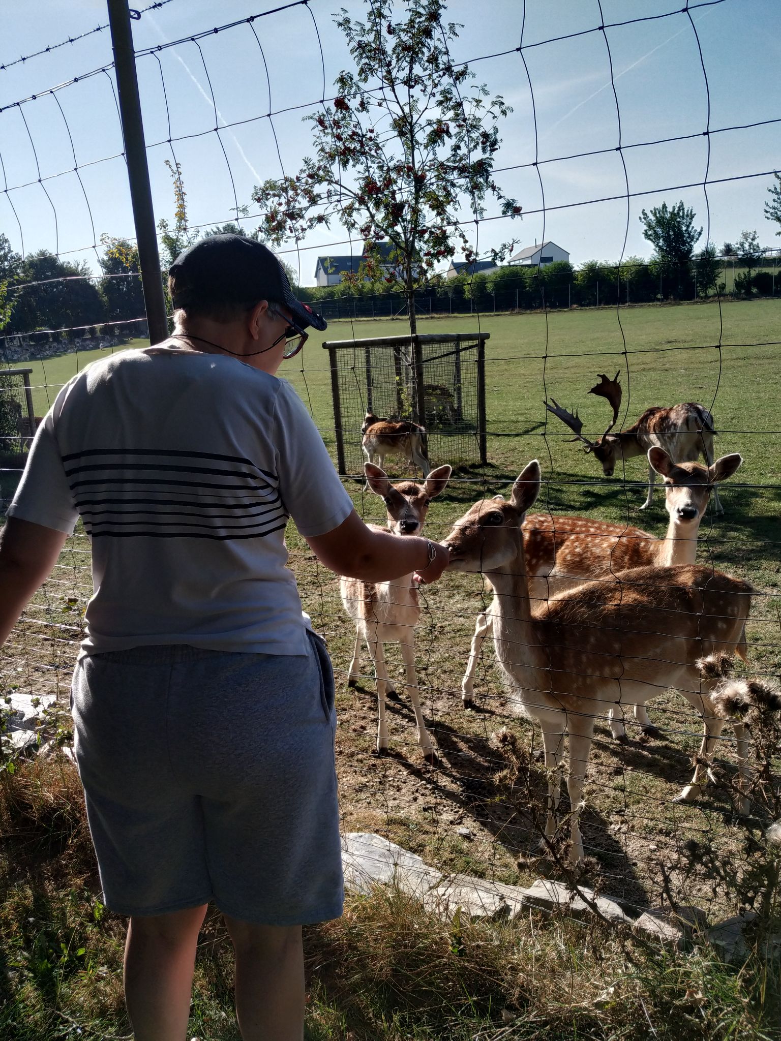 9fb098200d65f77dc7569da33a4f157f